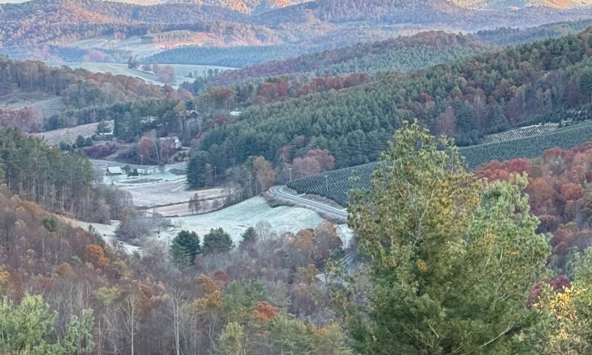 Fleetwood Cabin | Beautiful 3 bed/2 bath ranch chalet cabin: Boone area on 6 acres -amazing views!