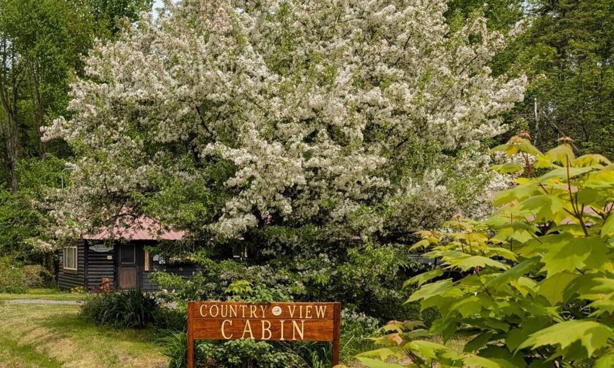 Brownville Cabin | Country View Cabin: Wi-Fi, U-Driveway. Mins to lake/trails.