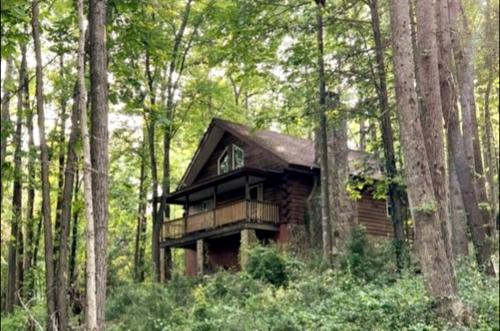 Traphill House | Cozy Forest Cabin Surrounded by Trees near Stone Mountain State Park, North Carolina
