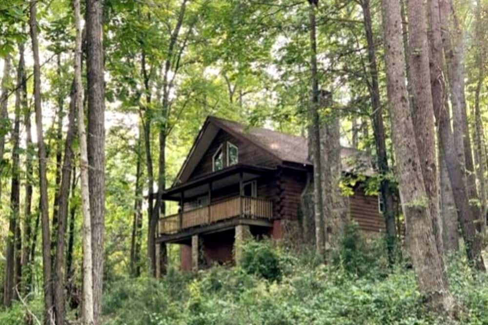 Traphill Cabin | Cozy Forest Cabin Surrounded by Trees near Stone Mountain State Park, North Carolina
