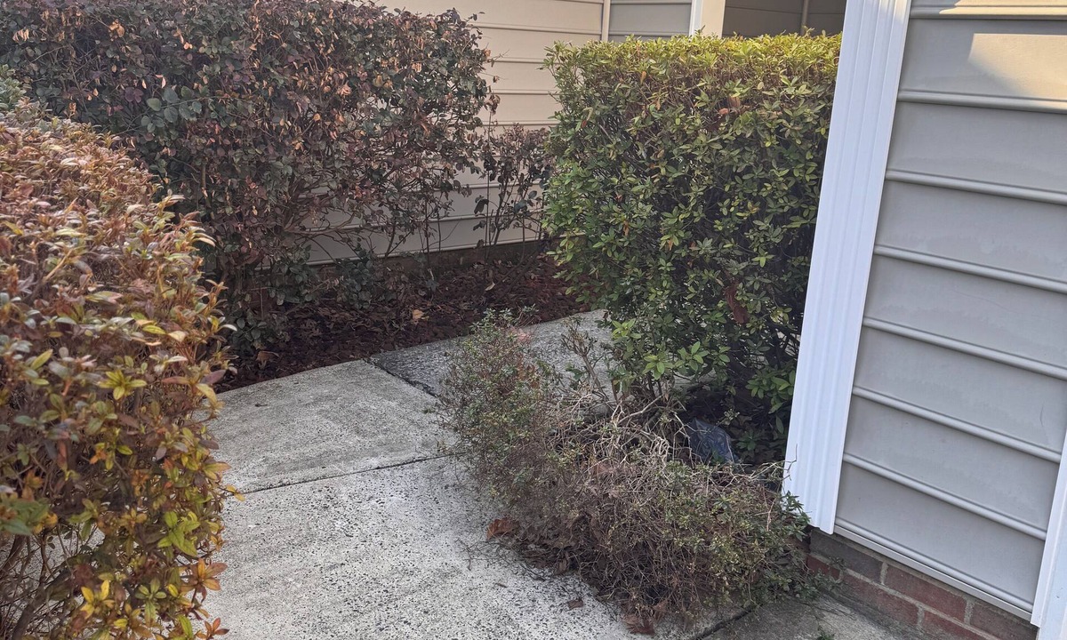 Mint Hill House | Enjoyable 4-bedroom house with AC in charming Mint Hill