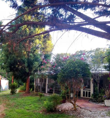 Conestee Apartment | Peaceful 1BR by Nature Trails