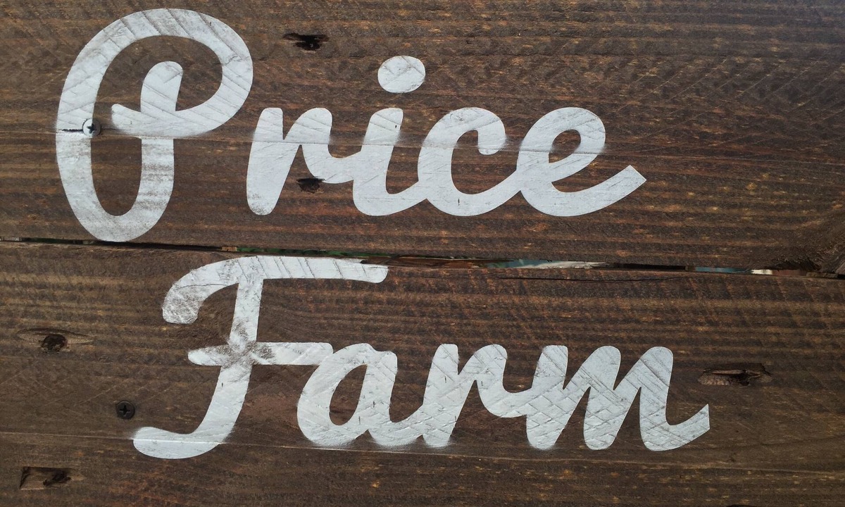 Knoxville House | Price Farm Getaway 7 miles to UT Campus 10 mins From Football Stadium NO PETS