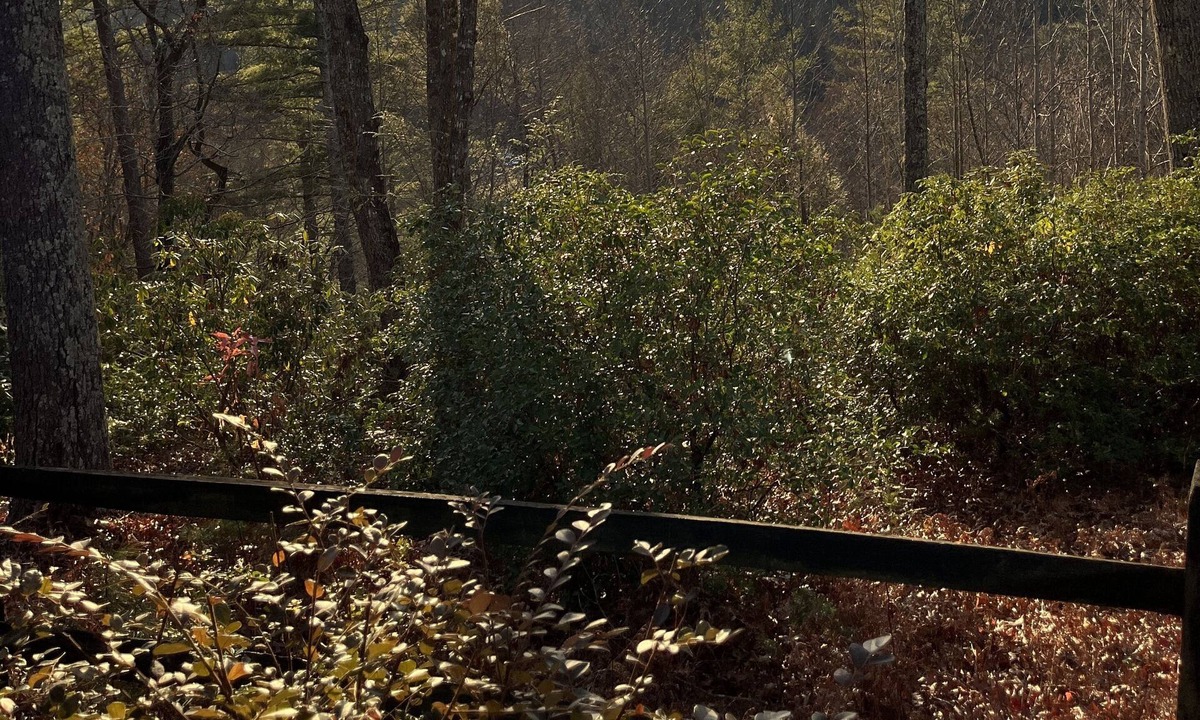 Ferguson House | Private Cabin With Stunning Mountain & Sunset Views – Hot Tub – WiFi
