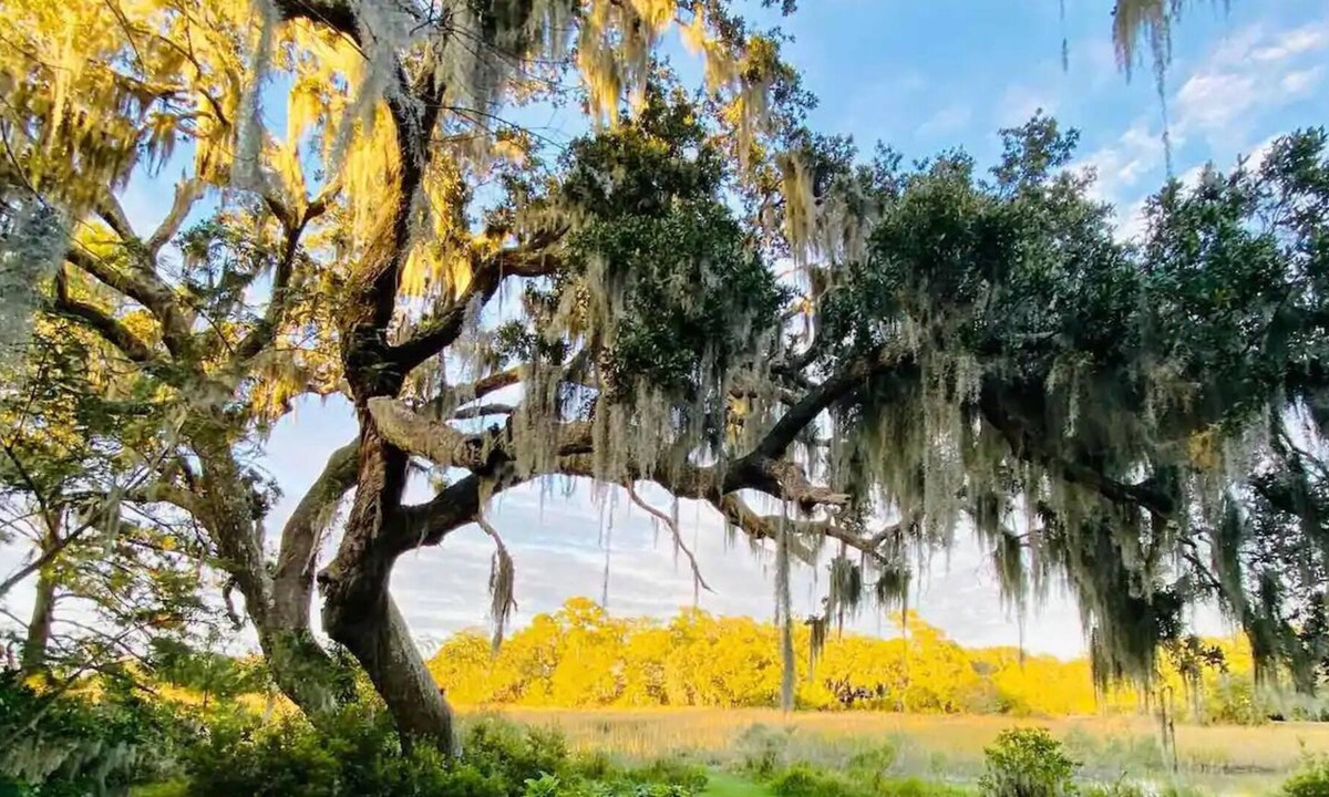 Charleston Apartment | Private Waterfront Apartment Among The Grand Oaks