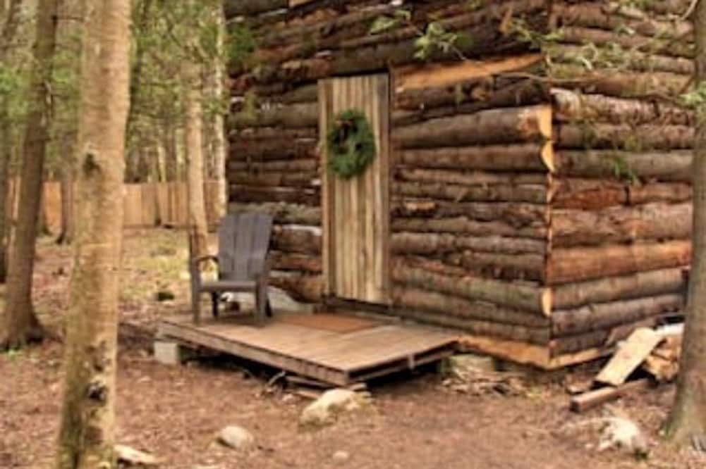 Markdale Cabin | Quaint Off-Grid Cabin with Fire Pit Space in Ontario