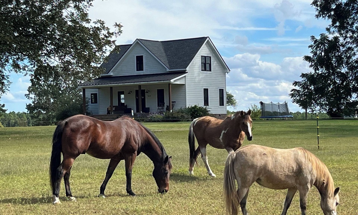 Macon House | Quiet Country Getaway 10 minutes from Lake Gaston