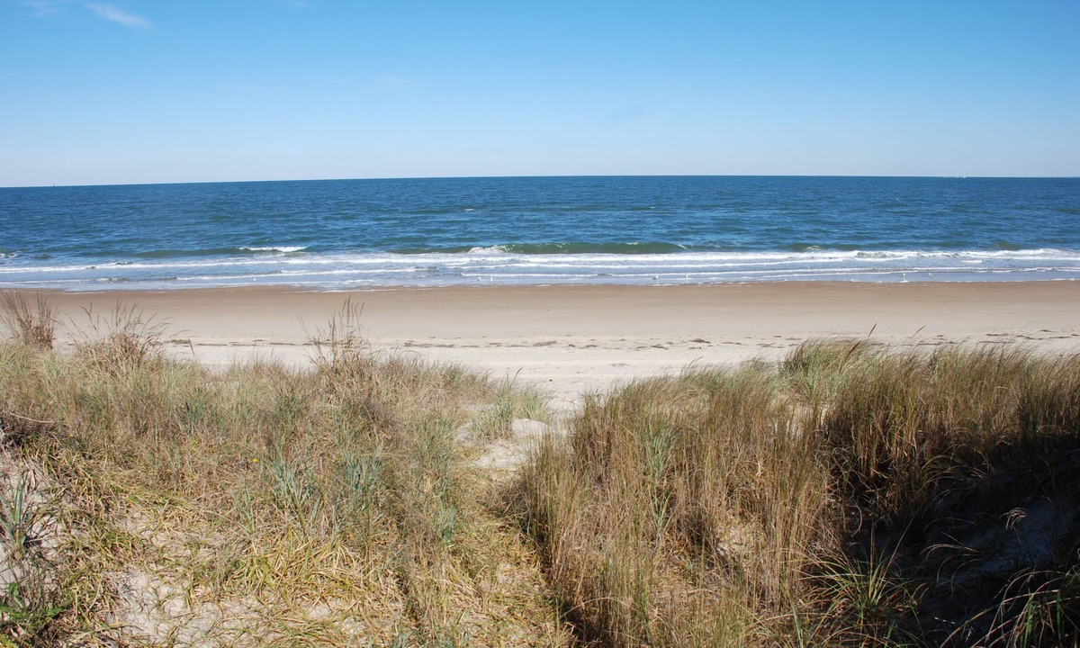 Cottage Line Cottage | Rustic Beach Front Apartment - Cozy, Rustic and On the Beach! - 2 BR/1 Bath