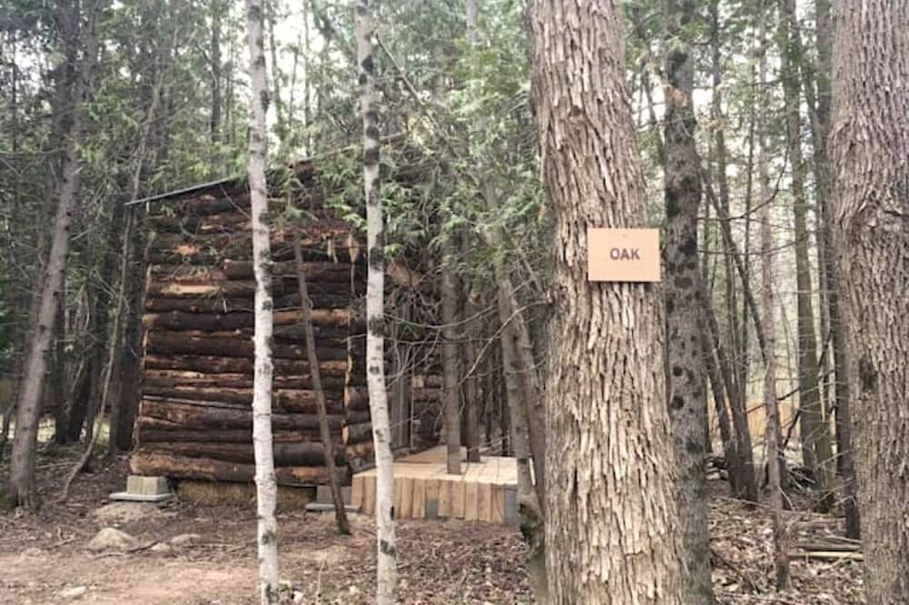 Markdale Cabin | Rustic Cabin Incredible for Hiking and Outdoor Lovers in Ontario