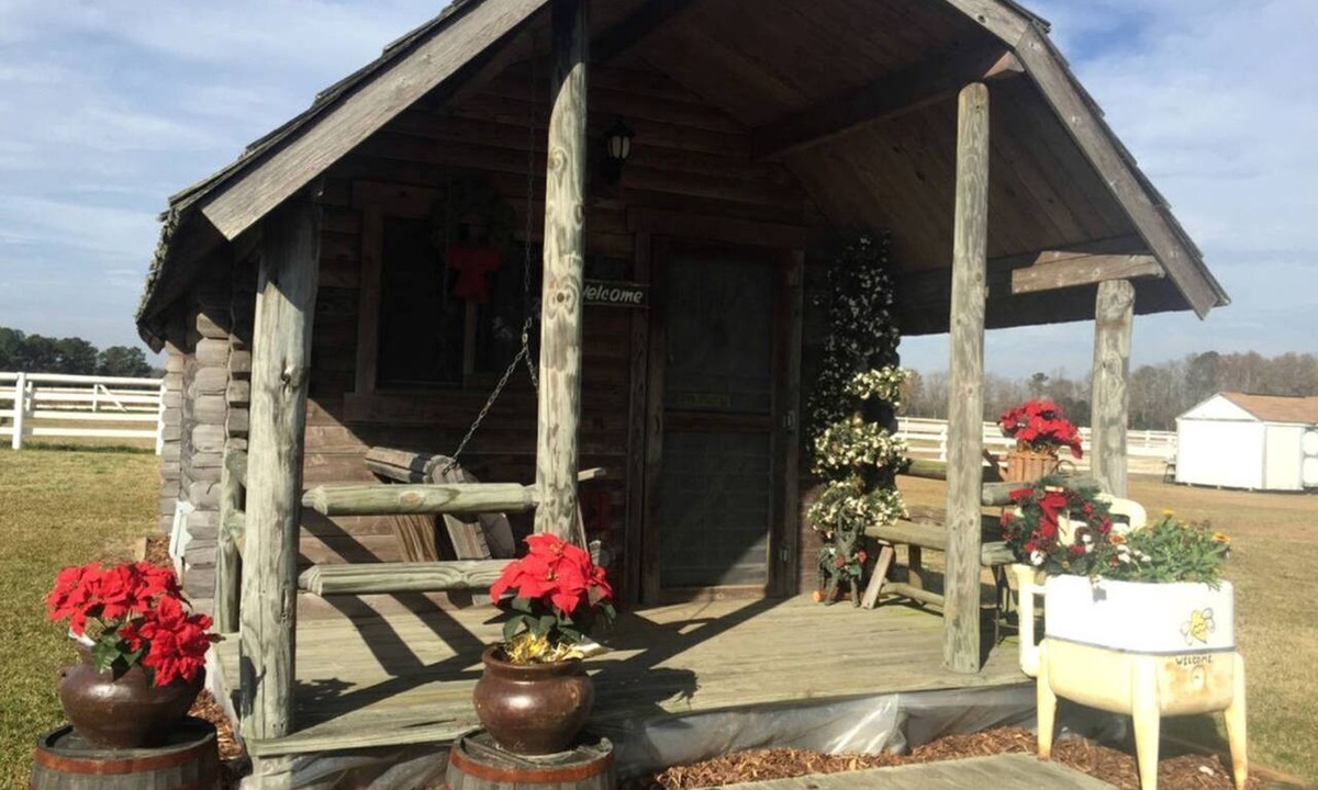 Plain View Cabin | Rustic Cabin Rental on Secluded Farmland near Raleigh, North Carolina