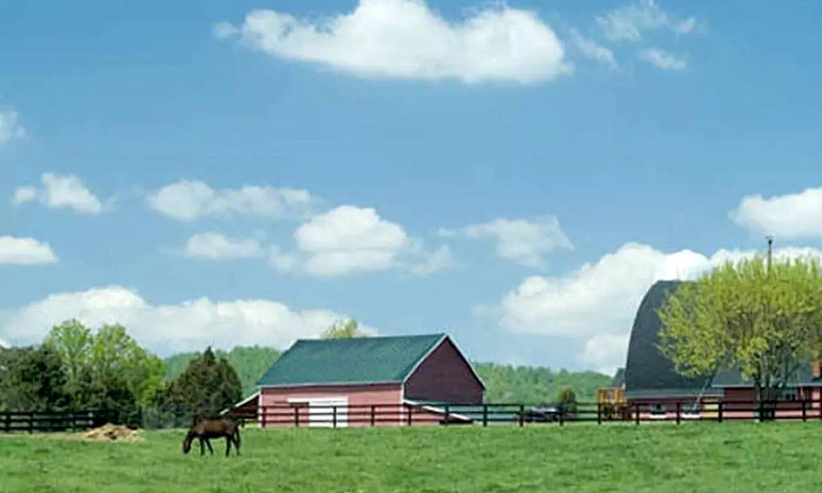 Gordonsville Cabin | Spacious Modular Rental on Huge Horse and Cattle Farm near Charlottesville, Virginia