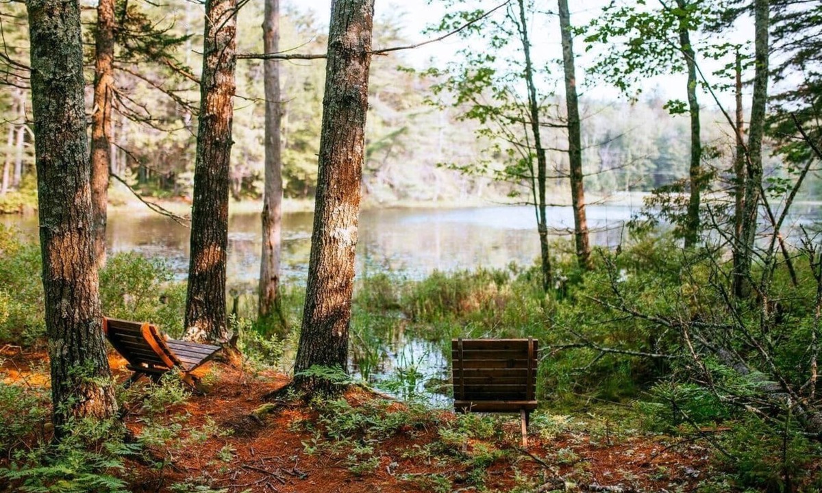 Georgetown House | Spruce Studio: Near Beach+Private Sauna+FirePit+Pond+Heat/AC