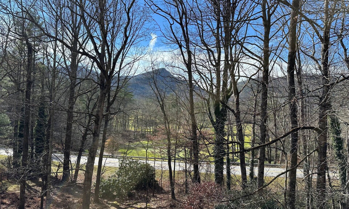 Sapphire Condo | The Dogwood condo is located in the heart of Sapphire Valley with WiFi, AC