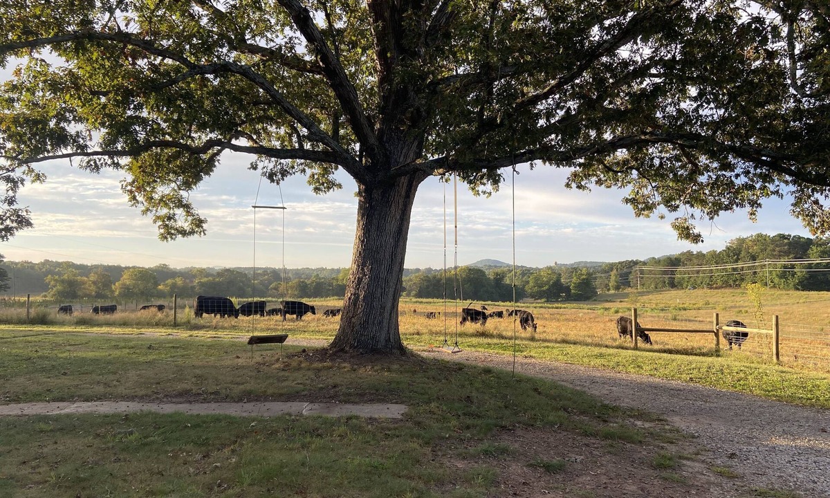 Connellys Springs House | The Farmhouse at Highlands Family Farms