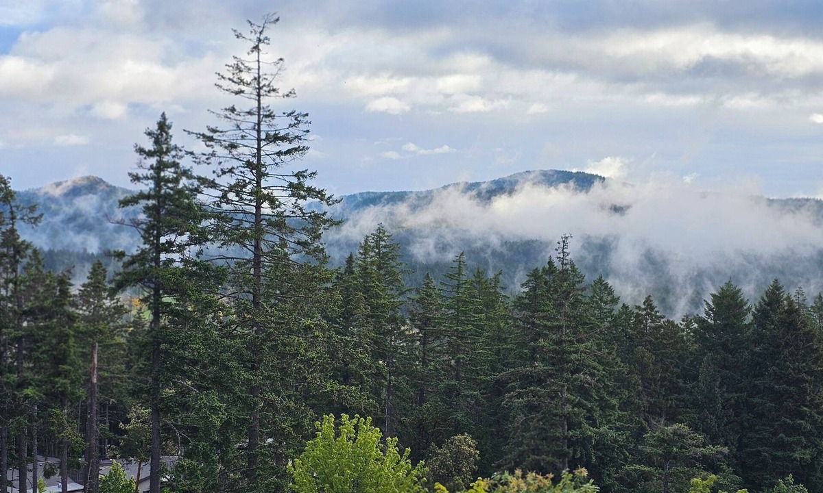 Bear Mountain Resort House | Victoria Vista, Cozy-2bedroom with Mountain Views near Prestiges Golfcourse
