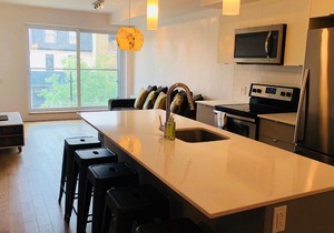 Amazing Condo In Heart Of Plateau