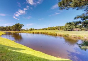 Myrtlewood