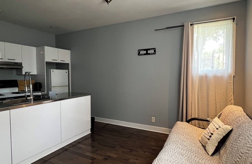 De Lorimier Condo | 1 Bedroom Apartment at Le Plateau-Mont-Royal. 10 mins to the Downtown Area.