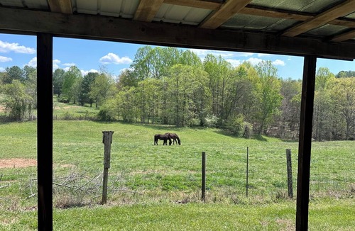 Elkin Cottage | 2 Bedroom Cottage Elkin- Yadkin Valley Farm Stay Near Trout Fishing & Vineyards
