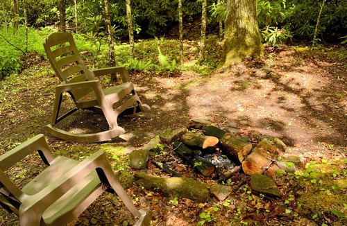 Twinbrook Cabin | A Cozy Creekside Cabin Hideaway for Two — Fireplace, Hot Tub & Quiet Woods