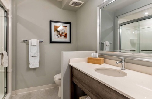 Fredericton Hotel | Amsterdam Inn & Suites, an Ascend Collection Hotel