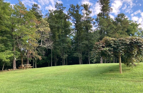 Glade Valley House | Blue Ridge Country Home - relax and experience the best of the NC countryside