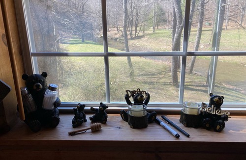 Deep Gap Cabin | BRAND NEW JACUZZI HOT TUB Real Log Cabin, Beautiful Rushing Trout Stream, Wifi.
