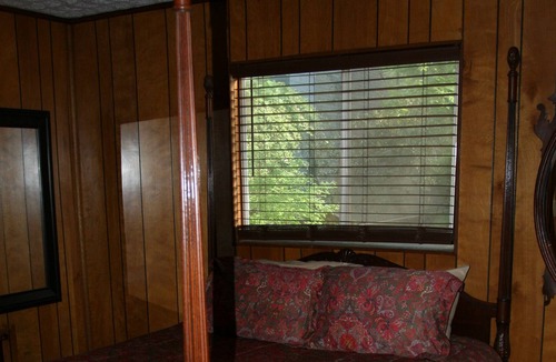 Reed Creek Cabin | Cabin in the woods on the edge of a cove of Lake Hartwell