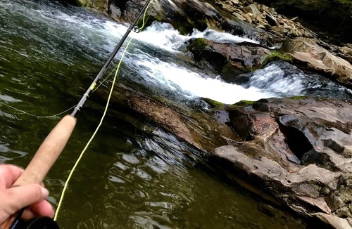 Deep Gap RV Rental | Campsite with Private Tree House Gazebo on a trout creek
