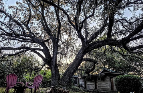 Murrells Inlet Cabin | Charming Unique Cabin: The LiTTLe House in the Inlet!