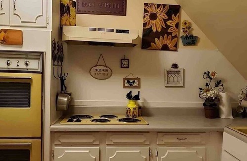 Old North Knoxville Apartment | Cheery Retro: Near Downtown Fun/5 Miles to UT!
