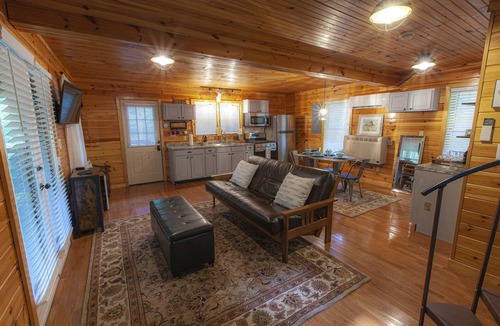 Zionville Cabin | Cool Off this Summer in your own 3 acre Mountain Forest!