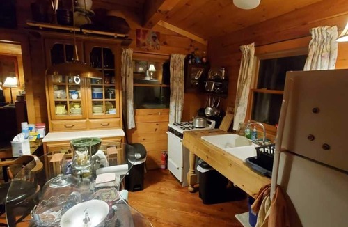 Bristol Cabin | Cozy Cabin on 11 acres w/Lake&Mtn Views. wifi, great cell svc. & moderated AC.