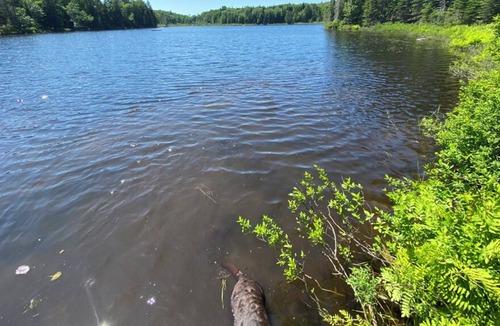 Morin Heights Cabin | Cozy log home on peaceful Lac Belanger, 10 minutes from ski hills
