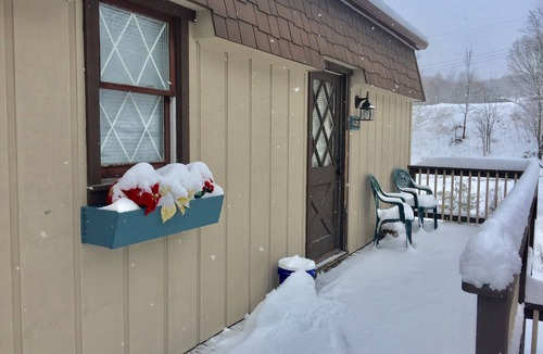 Beech Mountain Apartment | Cozy Pet-Friendly Studio! Land of Oz ! Festivals!