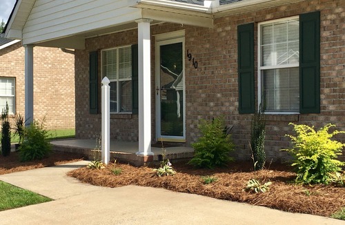 Greenville House | Elegant 2BR Cottage Designer Touches, Prime Greenville Stay