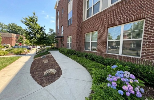 Matthews Apartment | Families favorite Luxury Suites + Saltwater Pool+Gym + Free Parking+Ev Charging