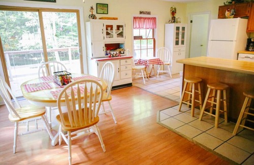Sevierville House | FARM ANIMALS: RESCUES, Mini HORSES and mini DONKEYs;