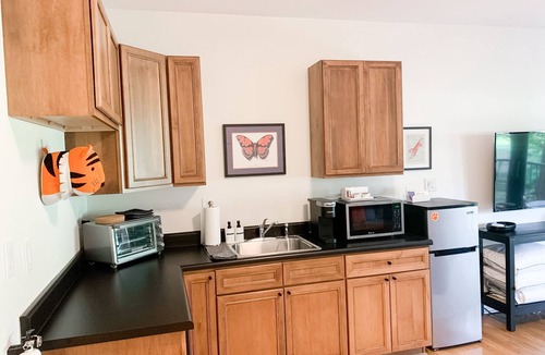 Clemson Apartment | FOOTBALL! Walk to stadium & campus & DT! FREE Parking! Behind Esso!