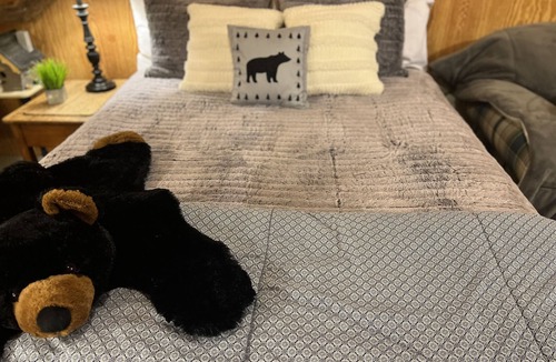 Davis House | Guest House private access, 2 level bedroom, den, kitchen to hang out and relax