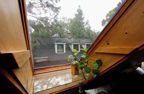 Camden Apartment | Historic Camden Showstopper! THE LITTLE GARDNER’S COTTAGE