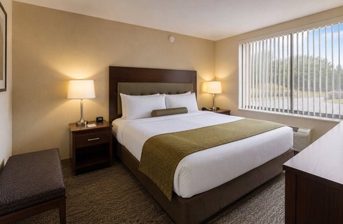 Downtown Toronto Apartment | Inviting 1BR Hotel Suite with AC in Downtown Toronto