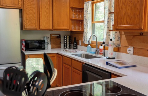 Littleton Cabin | Lake Gaston Cabin w/Boat Slip & Game Room