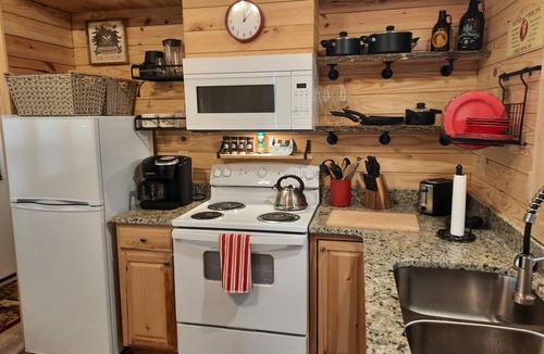 White County Cabin | Lake View Adventure Cabin at Bear Bluff Retreat