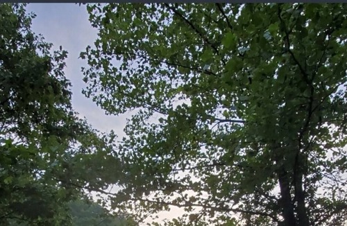 Cattail Creek Cabin | Lightning Bug Lodge at Cattail Creek (treehouse overlooking Cattail Creek in Burnsville NC) between beautiful Asheville and Boone! Perched at nearly 4K elevation...and 10 minutes from historic mountain town of Burnsville. Awesome hiking, gem mining, as...