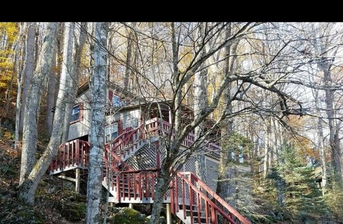 Cattail Creek Cabin | Lightning Bug Lodge at Cattail Creek (treehouse overlooking Cattail Creek in Burnsville NC) between beautiful Asheville and Boone! Perched at nearly 4K elevation...and 10 minutes from historic mountain town of Burnsville. Awesome hiking, gem mining, as...
