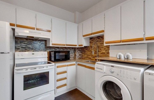 Plateau Mont Royal Apartment | LiV MTL Avenue Spacious 3BR Rooftop Suite Near Downtown Montreal