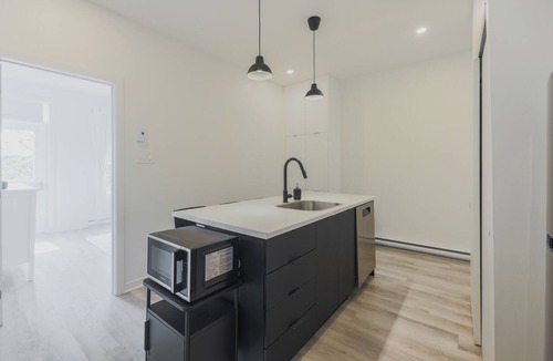 De Lorimier Apartment | Magnificent 3-bedroom apartment on the Plateau Mont-Royal!