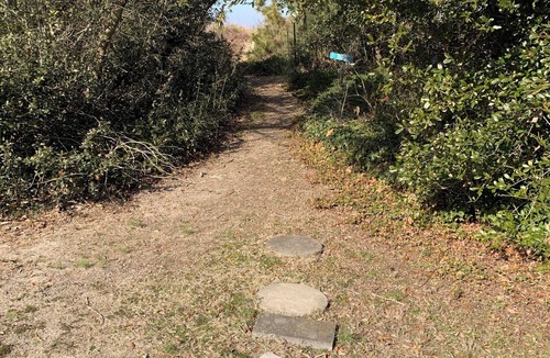 Willoughby Spit House | Manor and Mutts #2 - Beach Front, Pet Friendly, Wi-Fi, Parking, W/D, King Bed