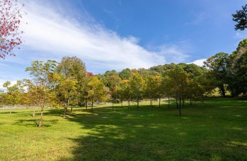 Banner Elk House | Matney Ridge Estate
